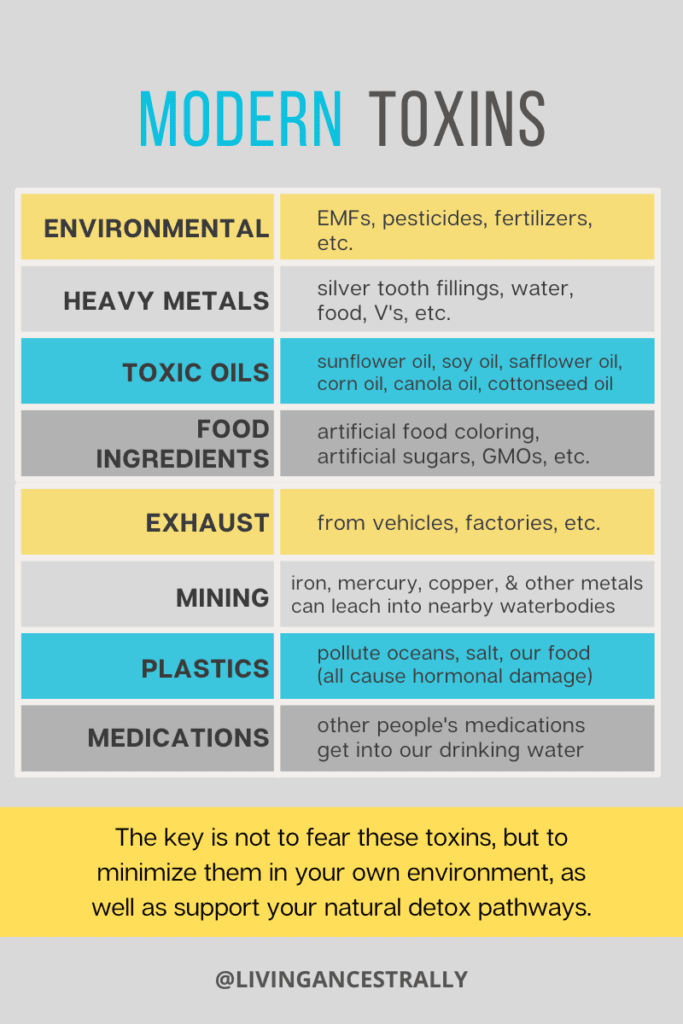 Modern Day Toxins That Affect Detoxification