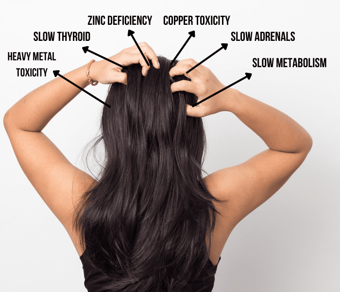Hair Tissue Mineral Analysis | Living Ancestrally