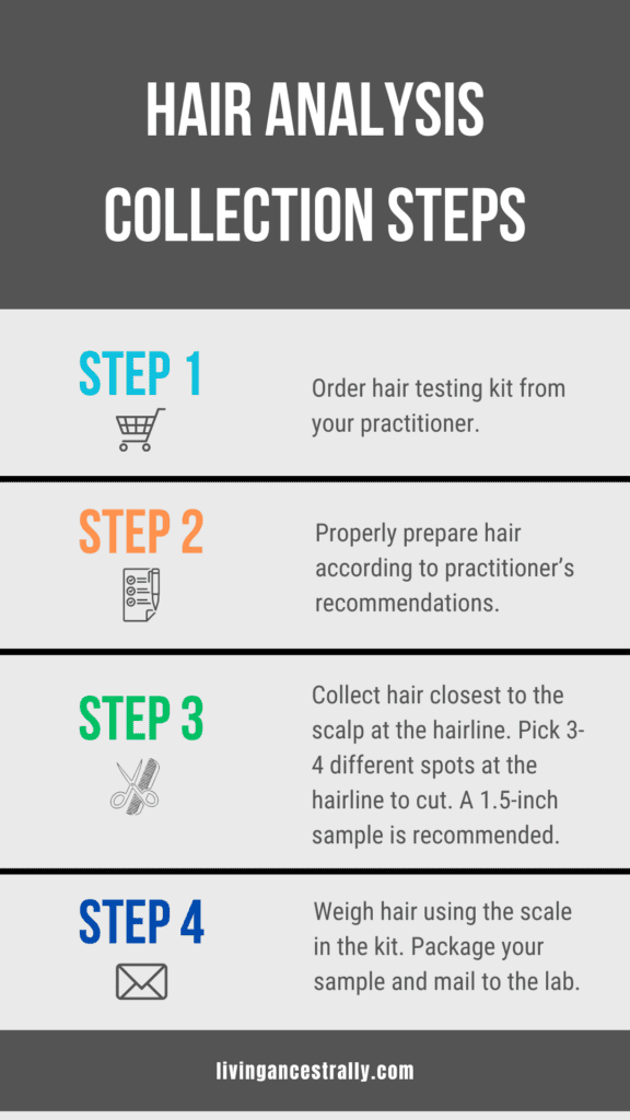 Graphic of detailed hair analysis collection steps. Numbered 1-4.