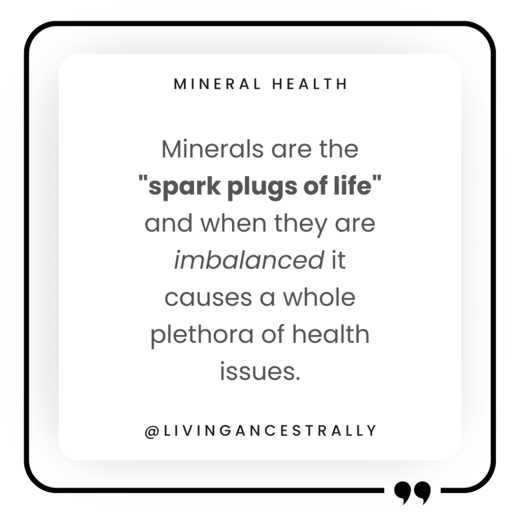 Image of a quote box that explains that minerals are the spark plugs of life and when they are imbalanced, a whole plethora of health issues can occur.